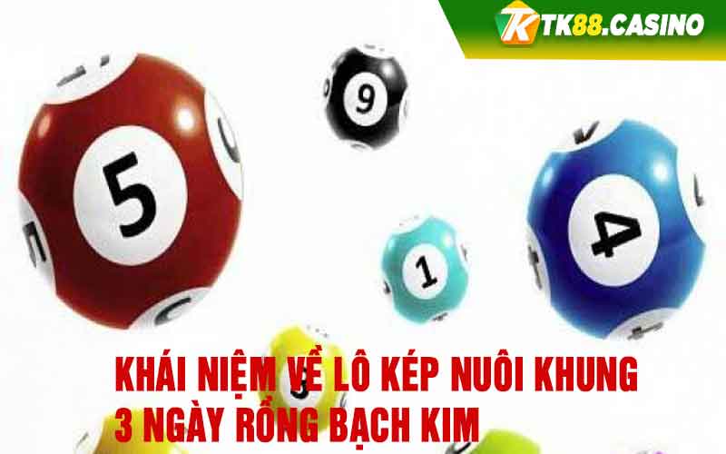 Khái niệm về lô kép nuôi khung 3 ngày rồng bạch kim 